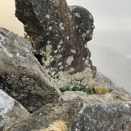 Nyaraló A Constanza Portecelo Rosal