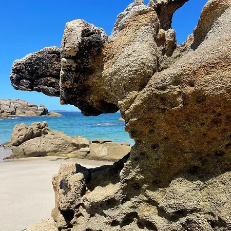 A Constanza Portecelo Rosal