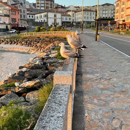 A Constanza Portecelo