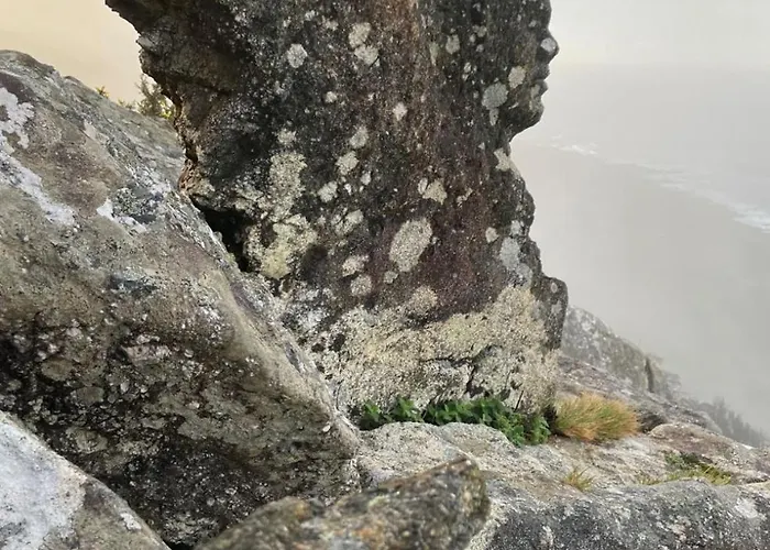 Сasa de vacaciones A Constanza Portecelo Rosal