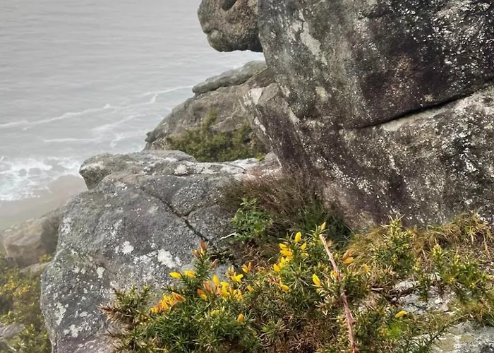 A Constanza Portecelo