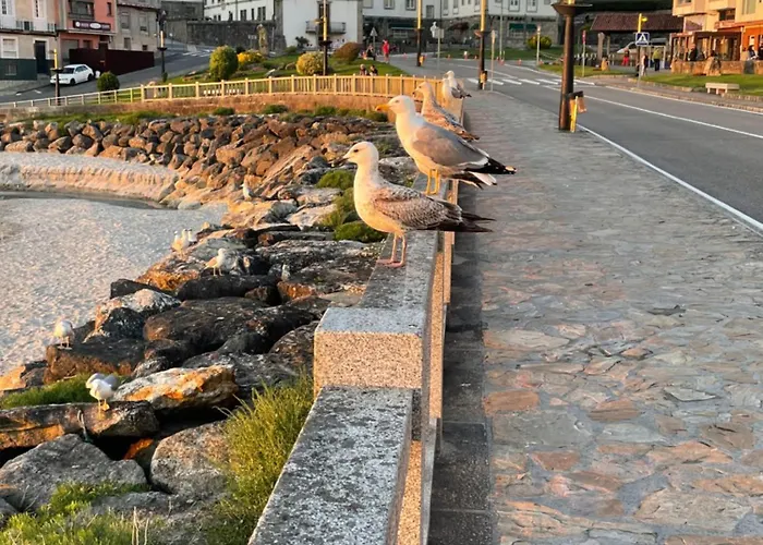 A Constanza Portecelo